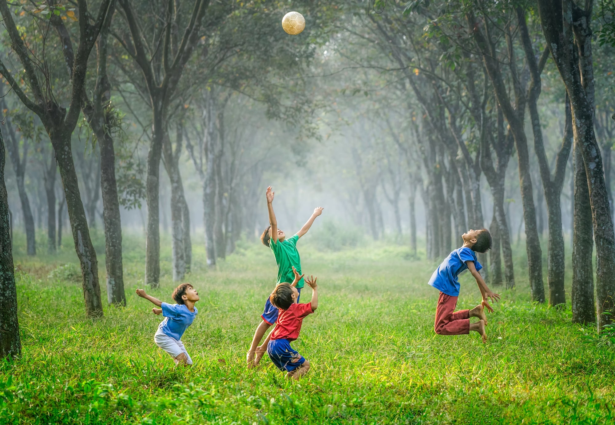 The Surprising Ways Exercise Affects Your Child's Gut Health